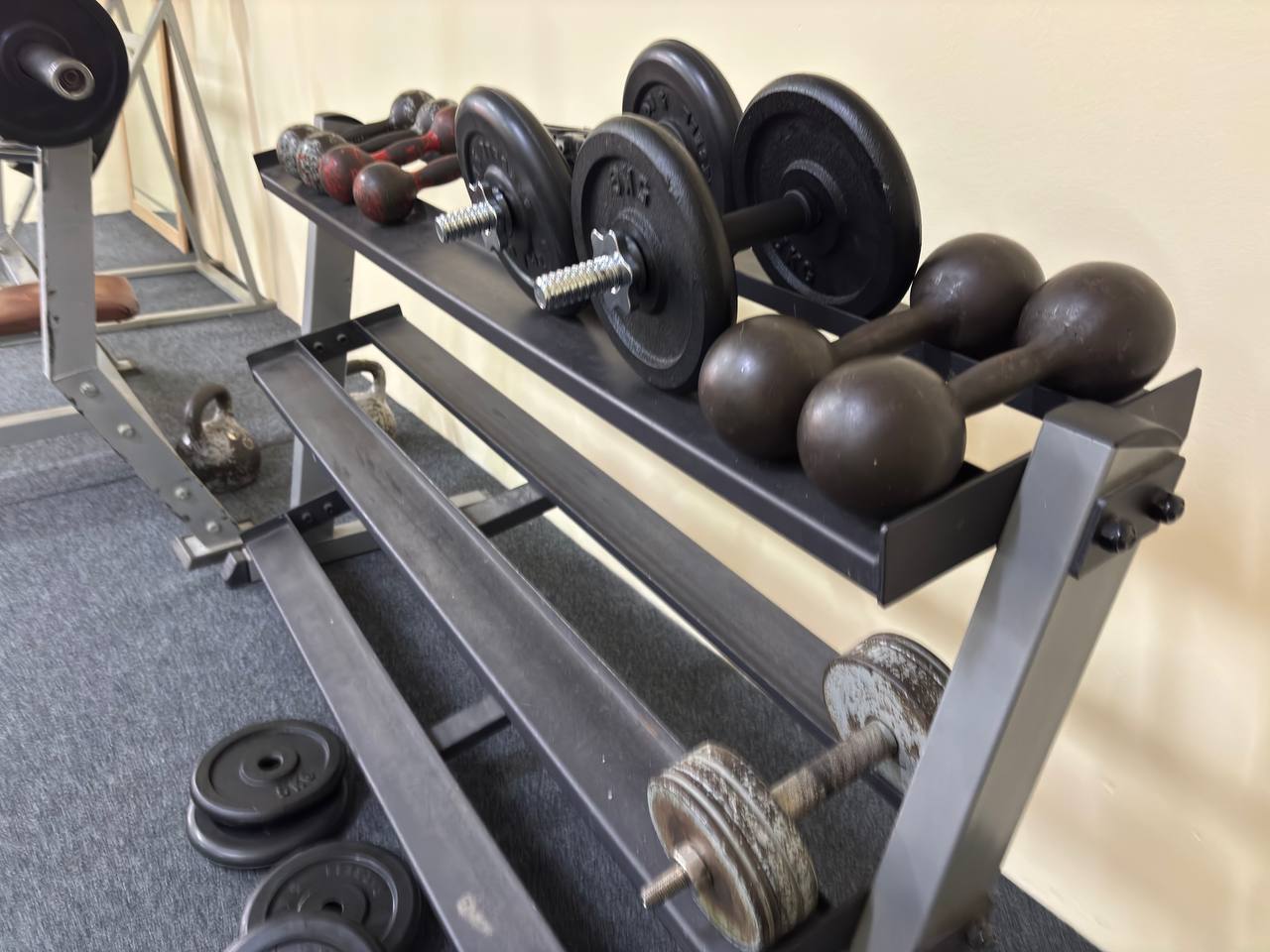 photo_3_2026-01-30_16-45-52