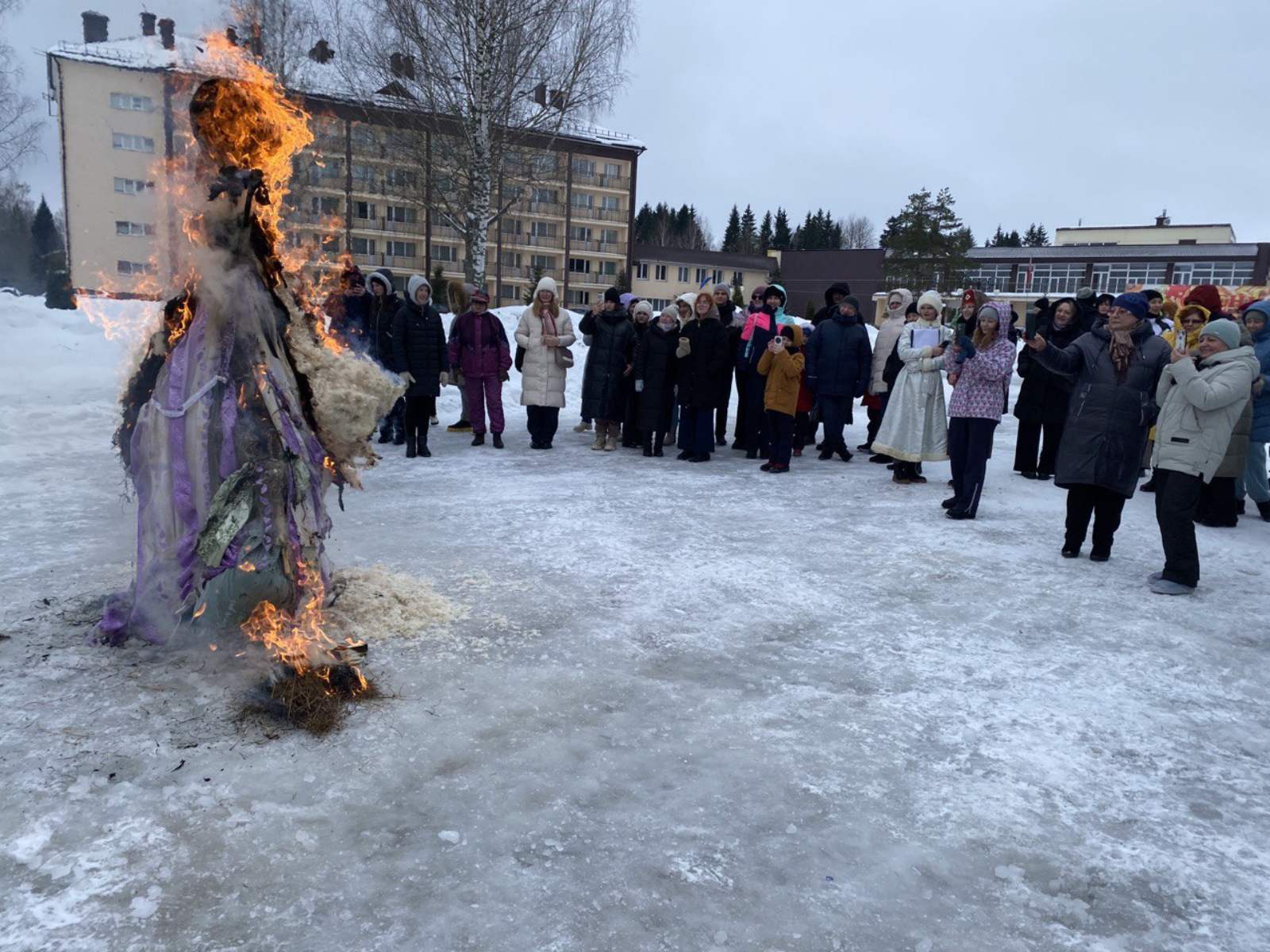 изображение_viber_2026-02-16_10-55-03-235