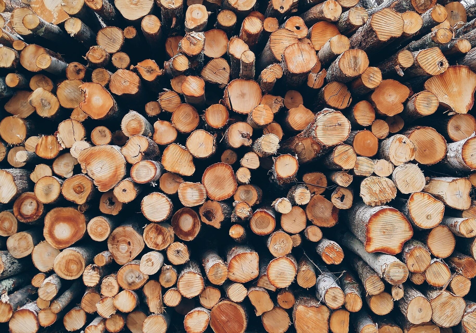 wood-1868104_1920